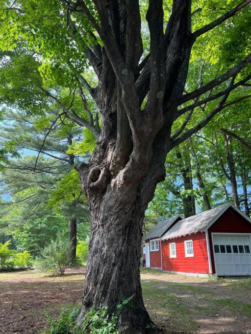 Schoolhouse No. 11 * Hudson Valley Upstate Getaway Stone Ridge Екстериор снимка